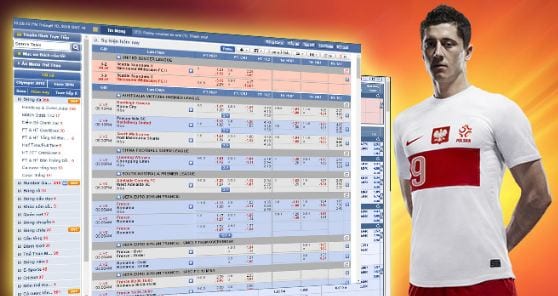 Cược chấp là gì? Tổng hợp các tỷ lệ cá cược trong bóng đá 7