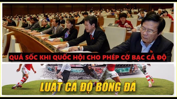 nhung doanh nghiep dau tien kinh doanh ca cuoc bong da tai viet nam hinh 2