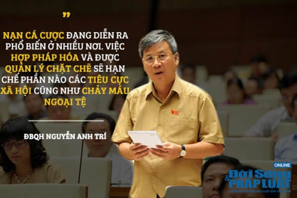 nhung doanh nghiep dau tien kinh doanh ca cuoc bong da tai viet nam hinh 1