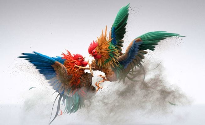 Tổng hợp tiếng lóng dùng trong cá độ gà trực tuyến (Phần 1) 1