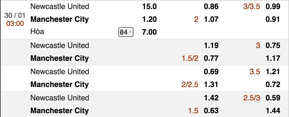 ty le ca cuoc newcastle vs man city hinh anh 2