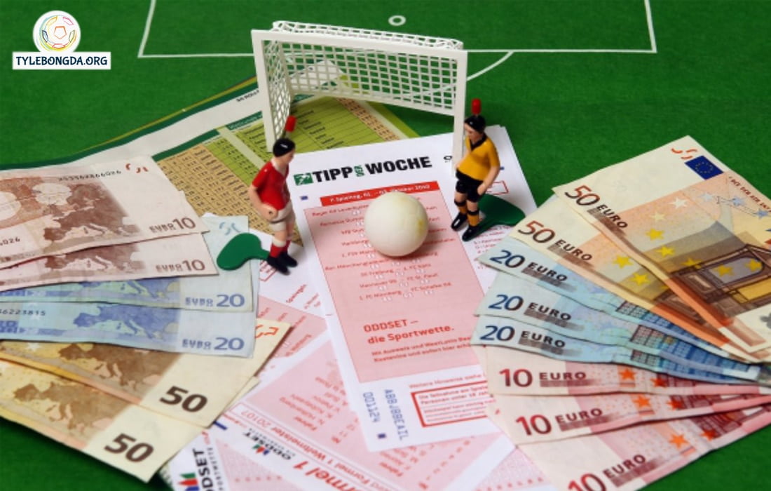 cá độ bóng đá 01