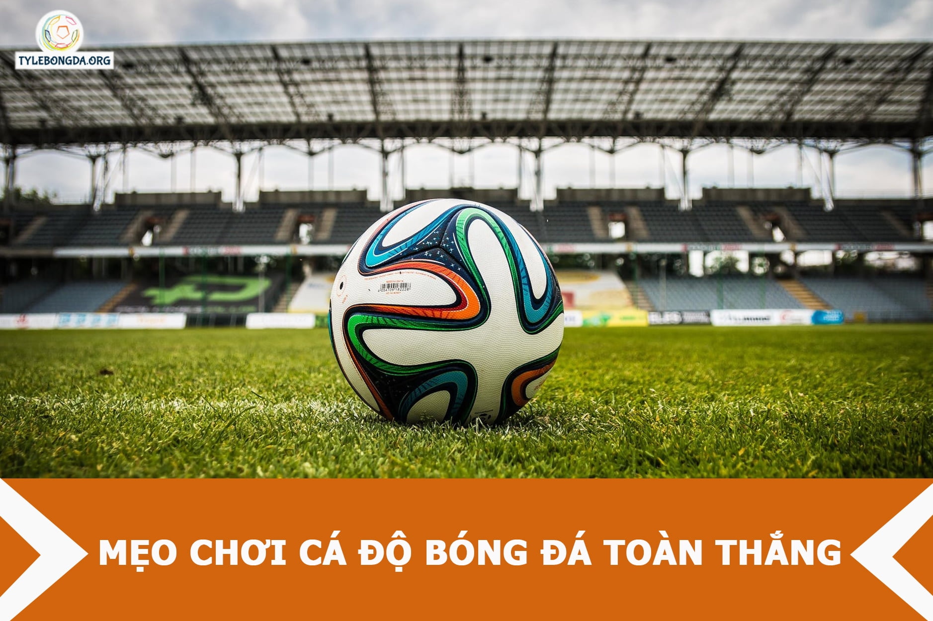cá độ bóng đá