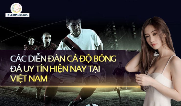 Tổng hợp top diễn đàn bóng đá uy tín và chất lượng nhất Việt Nam 3 top diễn đàn cá độ