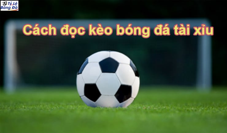 Hướng dẫn cách đọc kèo tai xiu trong bóng đá