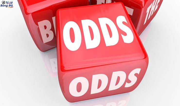 Những mối quan hệ giữa hai loại kèo