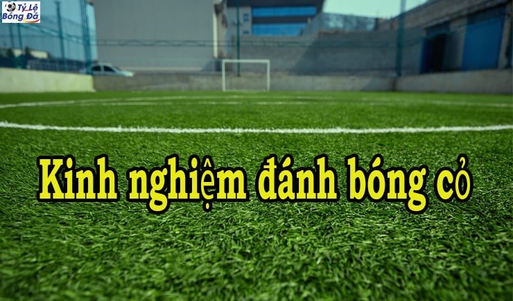 Những kinh nghiệm đánh bóng cỏ